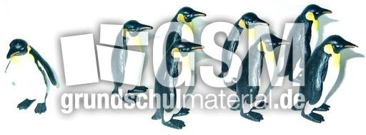 Pingu8-7.JPG